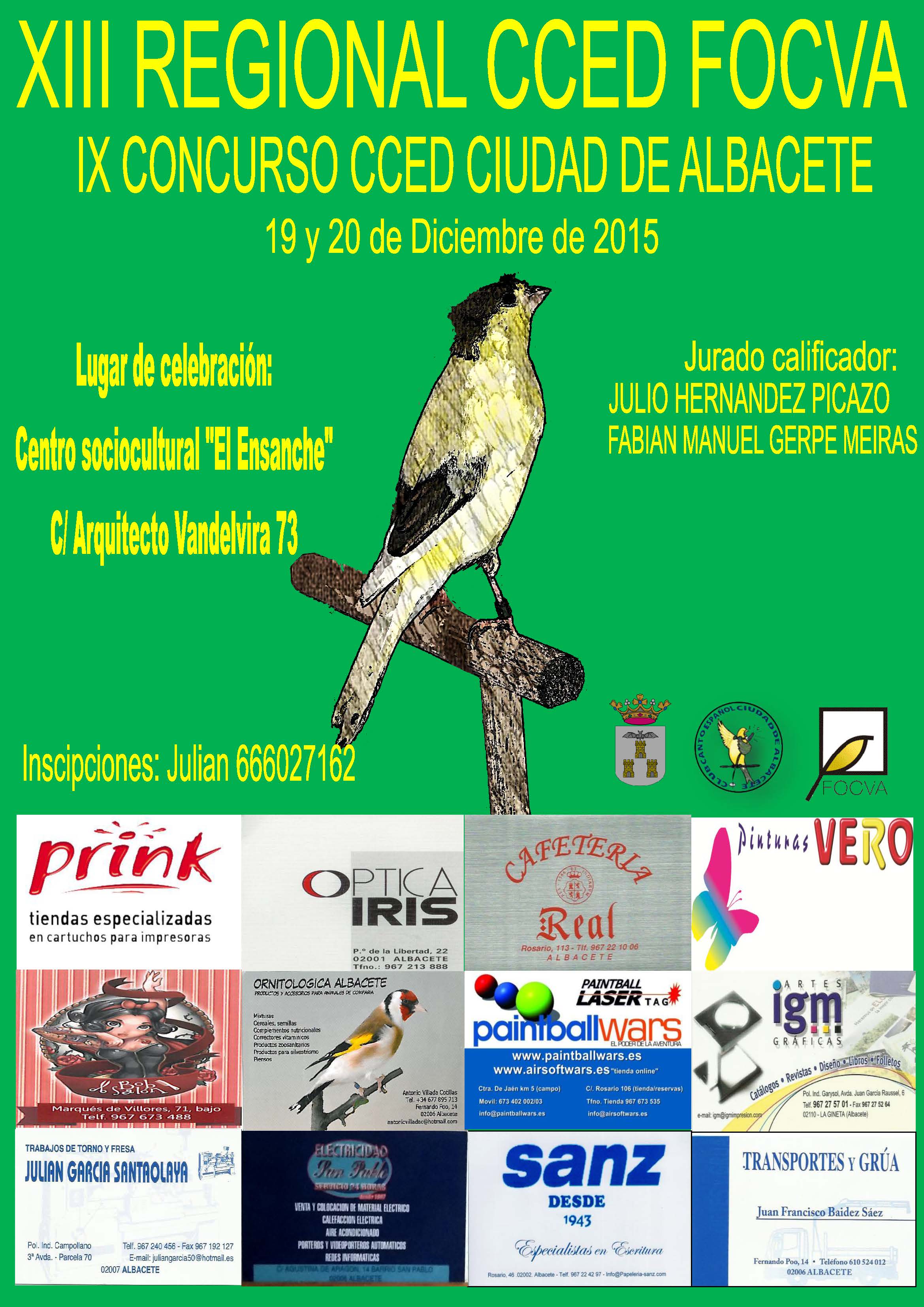 XIII Regional CCED FOCVA // IX Concurso CCED Ciudad de Albacete